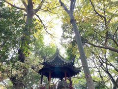 -秋霞圃
