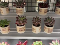 -MUJI无印良品(长沙悦方ID MALL城市旗舰店)