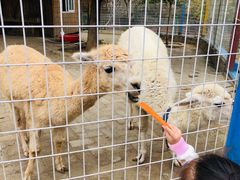 -武汉紫薇都市田园