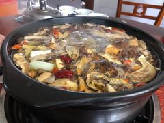-江川野生菌火锅铜锅鱼(贵清火锅店)