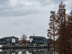 -白鹭湾湿地公园