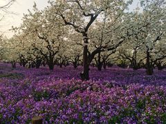 -江苏三台山国家森林公园