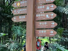 -白云山风景名胜区