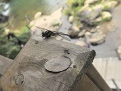 -长谷洞天