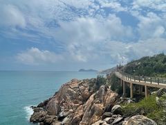 -广东惠东海龟国家级自然保护区