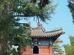 -洛阳白马寺