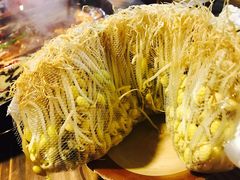 -独雅老火锅(原宏声巷店)
