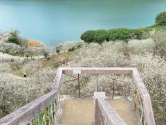 -广州市流溪河国家森林公园