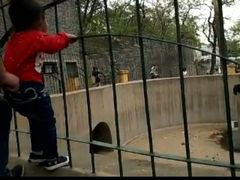 -保定市动物园