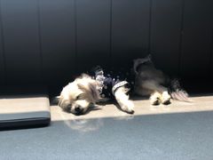 -来回·咖啡(钟村咖啡豆店)