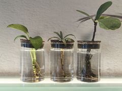 -红小满休闲餐厅(十全街店)