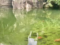 -柯岩风景区