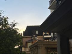 -叶叶菩提(太原别墅店)