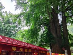 -潭柘寺景区