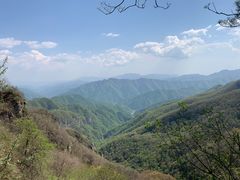 -牛背梁国家森林公园