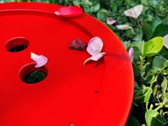 -宜家家居(四元桥商场店)