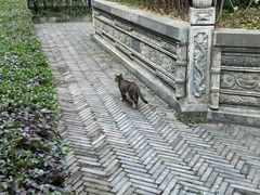 -平安桥天主教堂