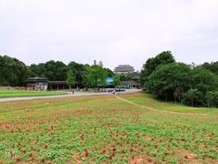 -保利石象湖景区