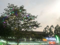 -竹一味·竹筒饭