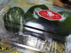 -白玉兰食品(汇联商厦店)