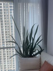 -KeCare科颜精准护肤