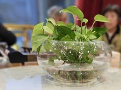 -艳阳天酒店(五里新村店)