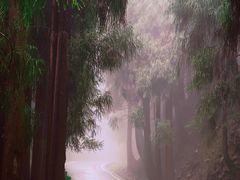 -太阳湾风景区