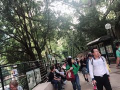 -九龙公园