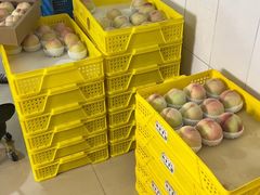 -老袁家蜜桃农场·阳山水蜜桃