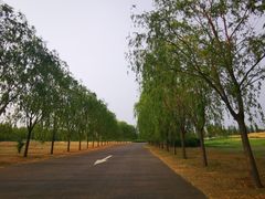 -兴安湖生态运动公园