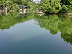 -千岛湖东南湖区