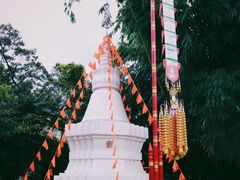 -云南民族村
