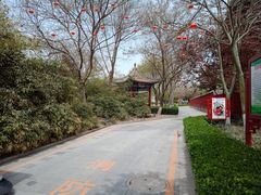 -天宁寺