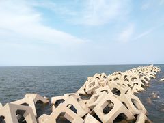 -东疆建设开发纪念公园