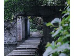 -燕晗山郊野公园