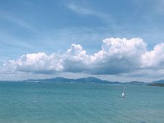 -七鲜渔港美食餐厅(巽寮湾海景店)