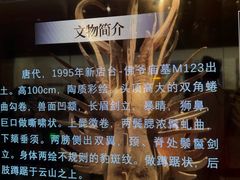 -敦煌市博物馆