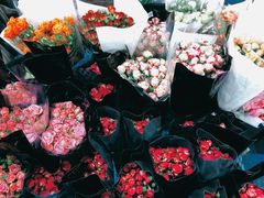 -循礼门鲜花花市(武汉循礼门店)