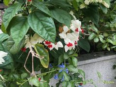 -三溪村