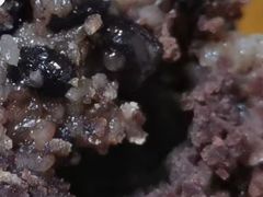 -召稼楼永茂昌粽子大王