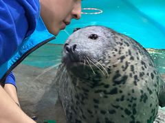 -嘉兴海底世界
