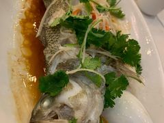 清蒸鲈鱼-九花山烤鸭店