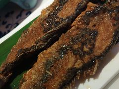 -东方饺子王(新阳路店)