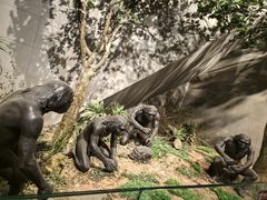 -北京周口店北京人遗址博物馆