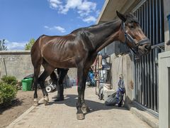 -意大利农场度假村