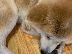 -YCHL Studios健身工作室(市二宫店)