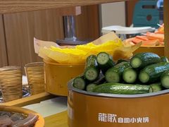 -龍歌自助小火锅(崂山丽达店)