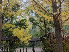 -北京水岸山吧度假村(雁栖镇店)