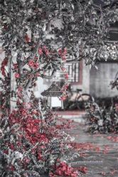 点击看大图 -忆江南婚礼策划(姑苏店)