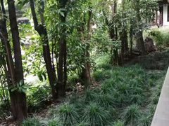 -复旦大学附属华山医院(总院)